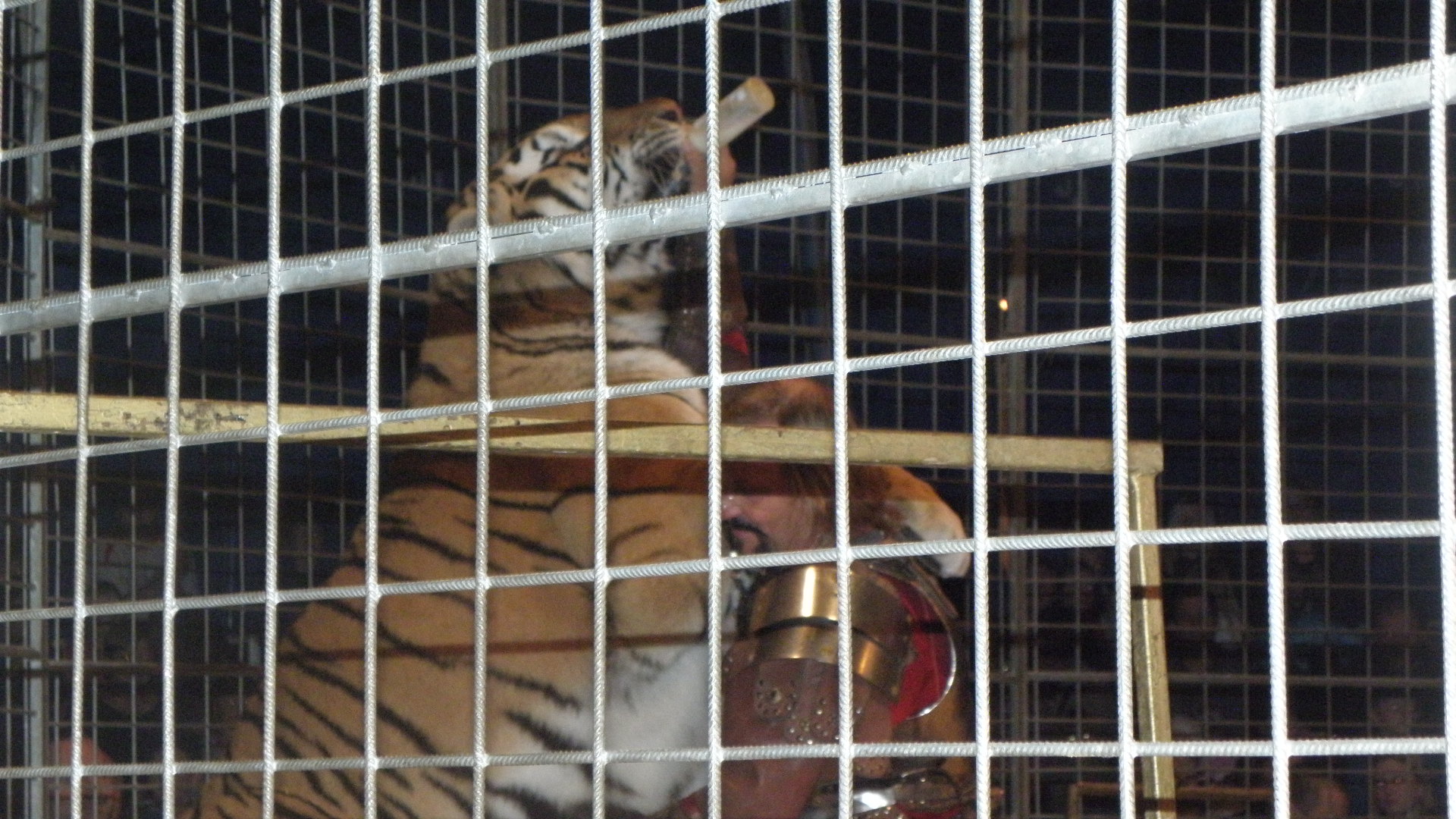 PB130139
